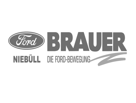 Logo of Ford Brauer