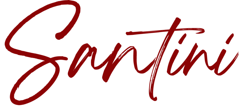 Logo of Santini
