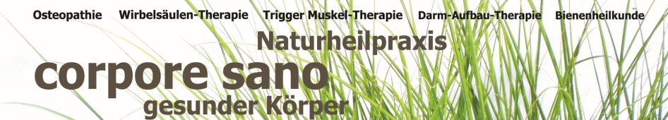 Logo of Heilpraktiker Sven Poksiva