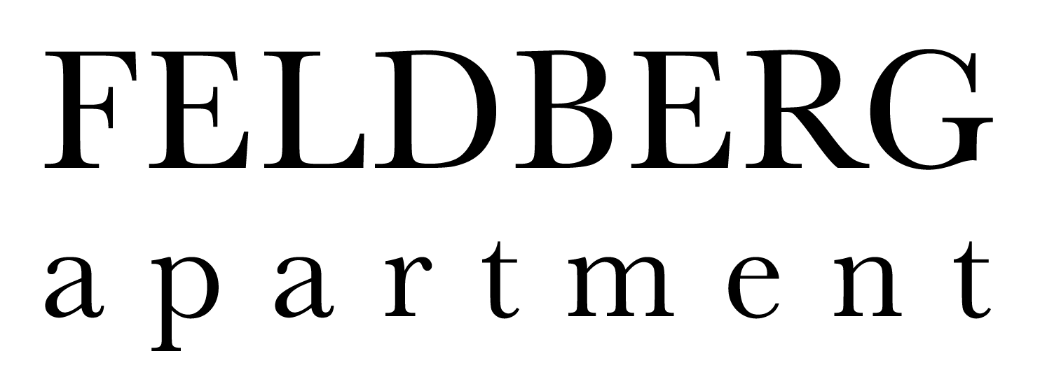 Logo of FELDBERG apartment