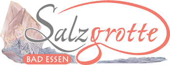 Logo of Salzgrotte