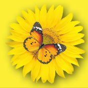 Logo of Werbegemeinschaft Frühlingsfest Plattenhardt