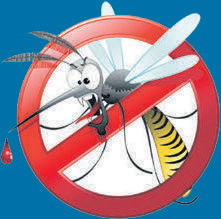 Logo of Insekten- & Sonnenschutzsysteme Brand