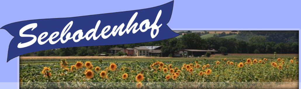 Logo of Seebodenhof