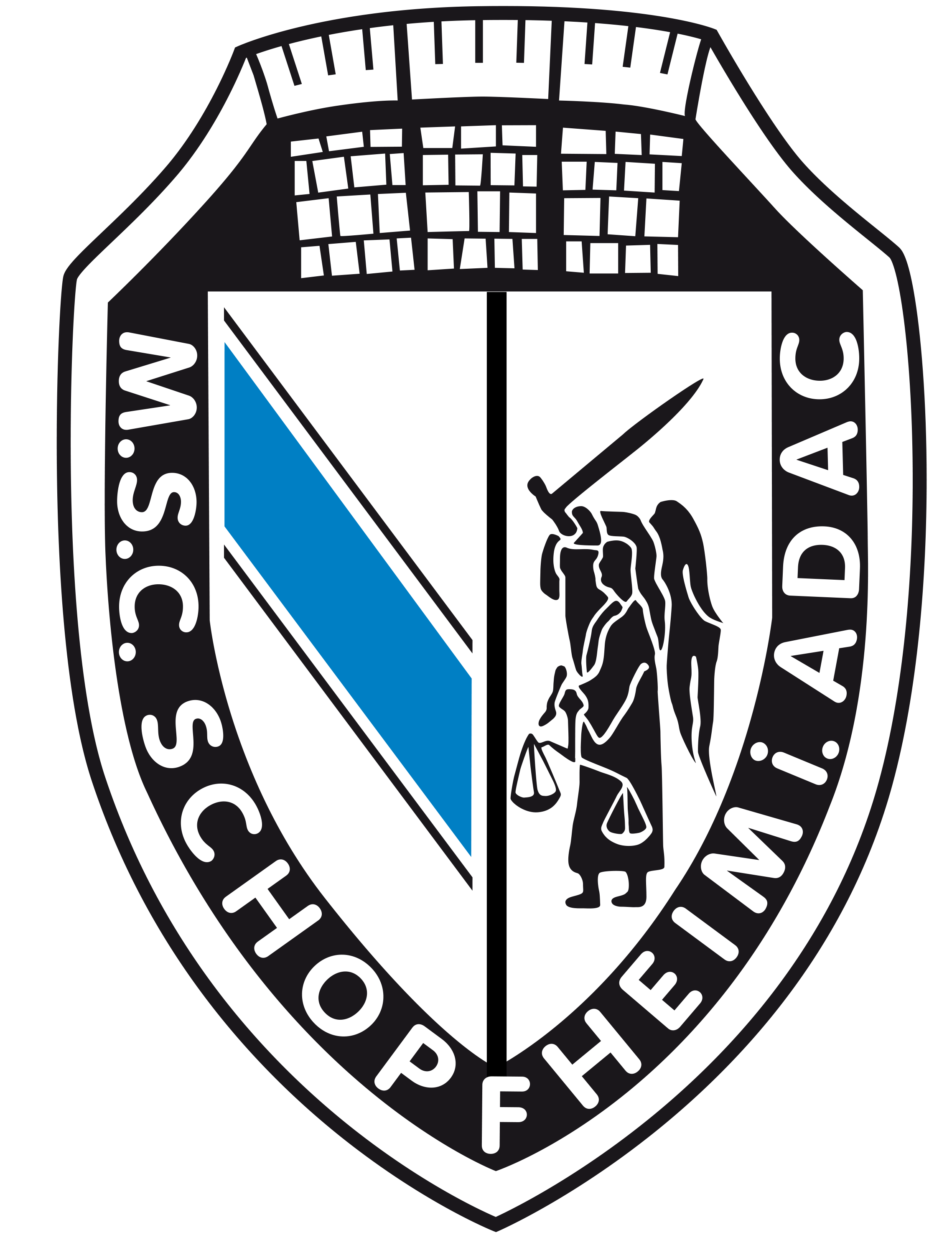 Logo of MSC Schopfheim