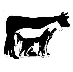 Logo of Tierarztpraxis Beierlein in Beeskow