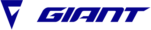 Logo of Giant Store