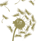 Logo of Bestattungshaus Wandlitz