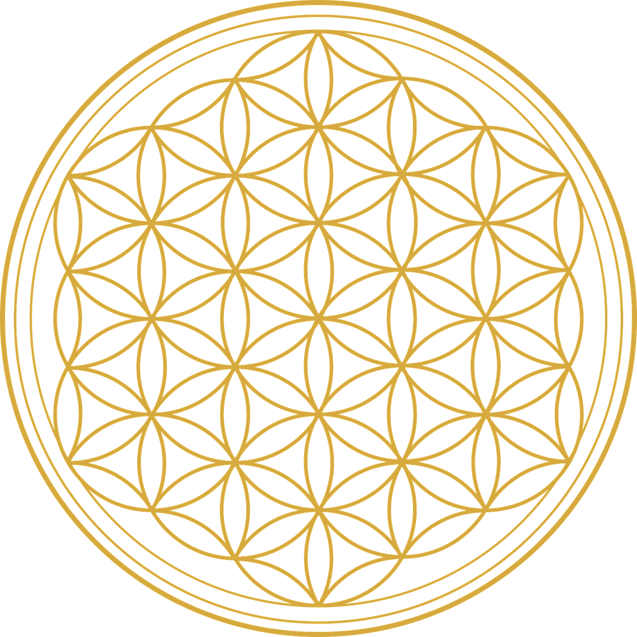 Logo of Praxis für ganzheitliche Augenheilkunde