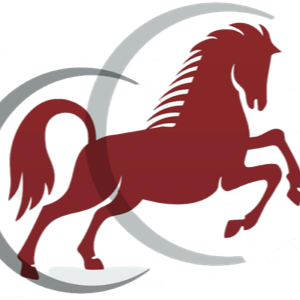 Logo of Freiberger Pferde Reitschule Ludäscher