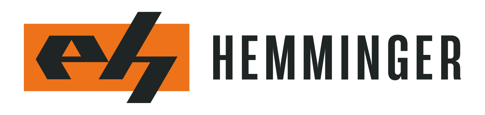 Logo of Eberhard Hemminger Straßenbau GmbH & Co. KG