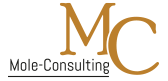 Logo of MoLe Consulting - Monica Bracciale Leggio