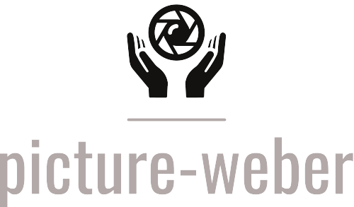 Logo of Thomas Weber