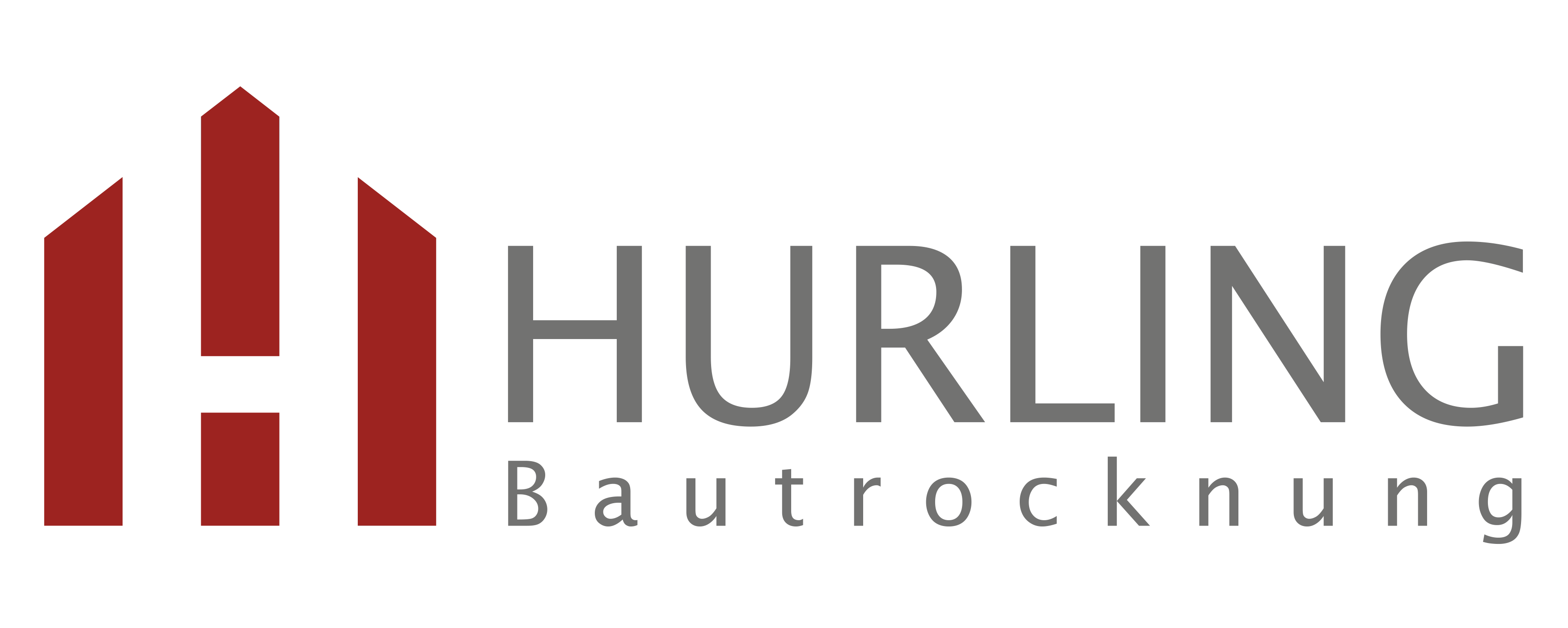 Logo of Hurling Bautrocknung