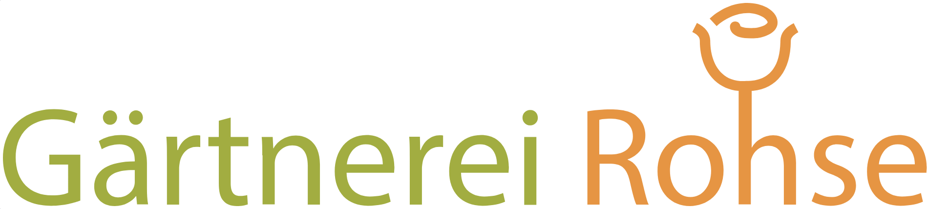 Logo of Rohse Blumenhandels GmbH
