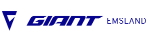 Logo of Giant Store