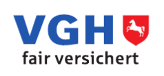 Logo of VGH Versicherungen: David Flegel