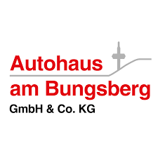 Logo of SEAT Autohaus am Bungsberg GmbH & Co.KG