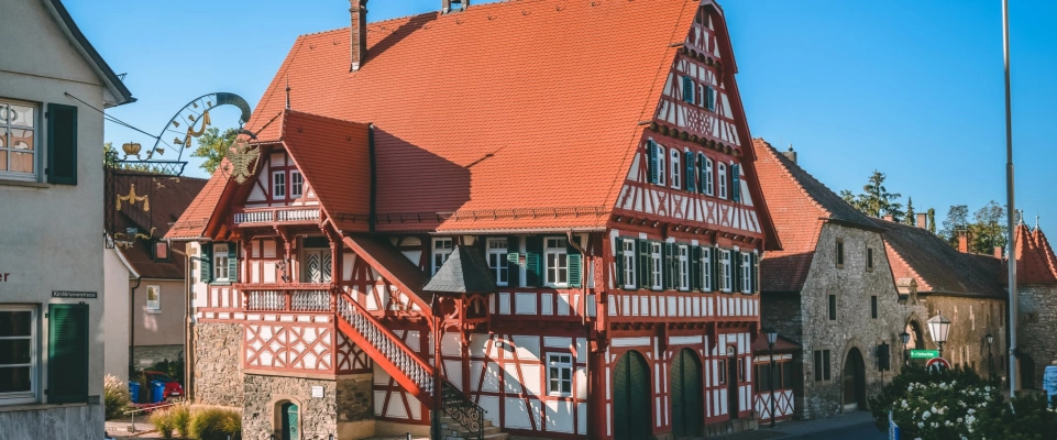 Main Image