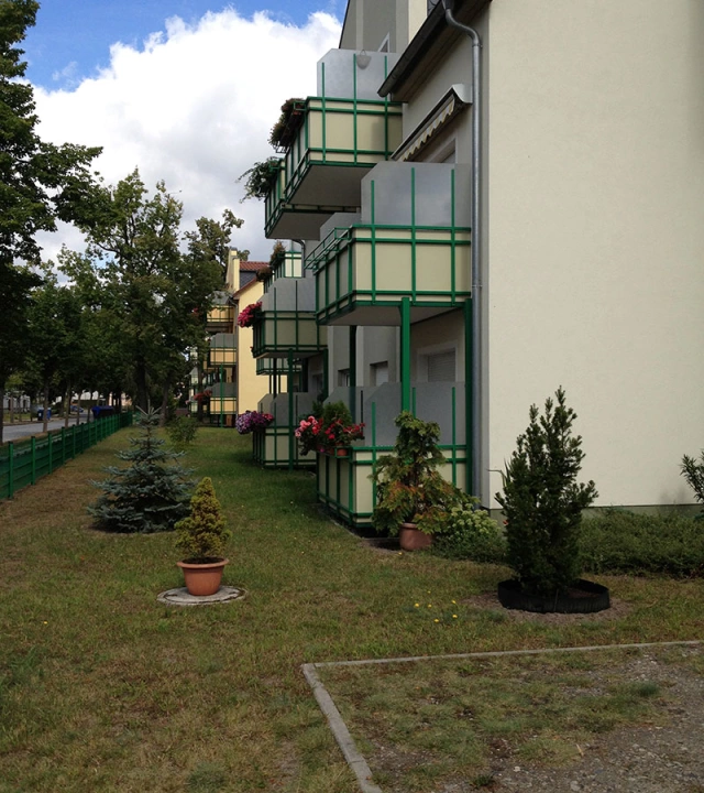 Main Image