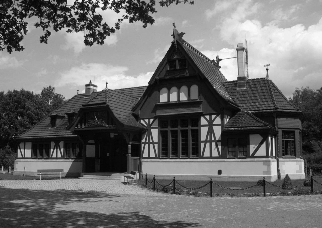 Main Image