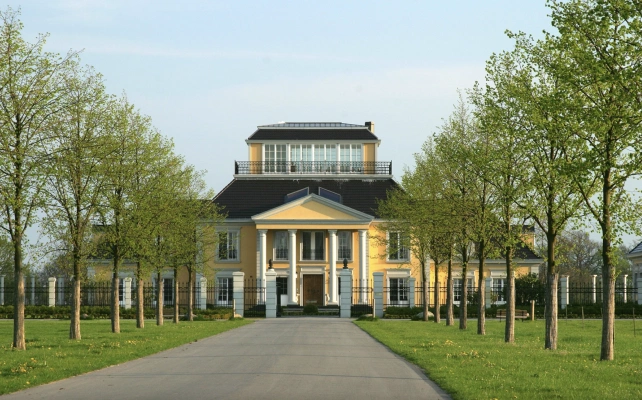 Main Image