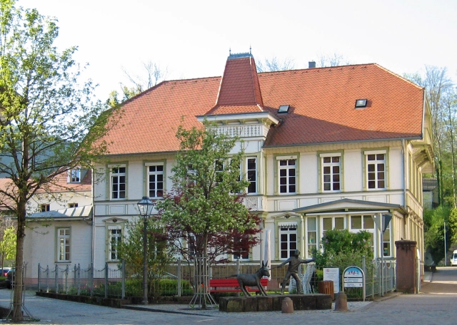 Main Image