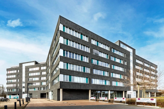 Main Image