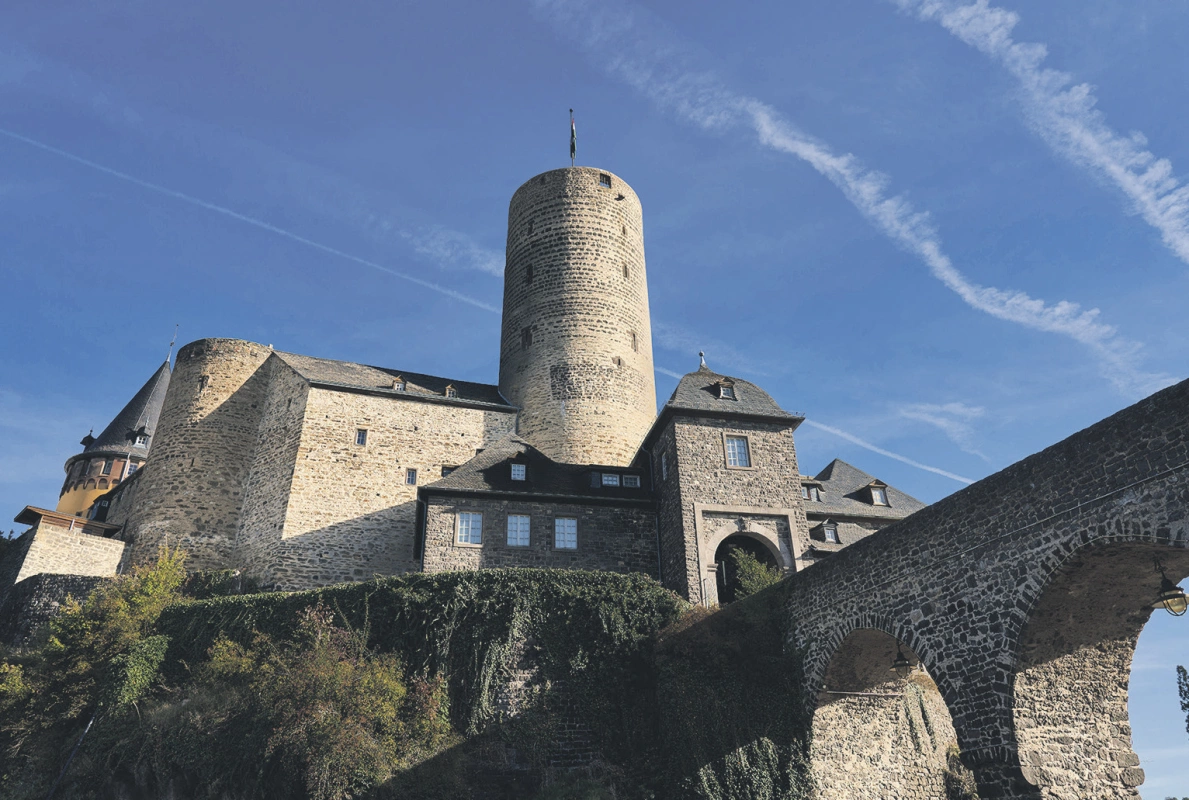 Main Image