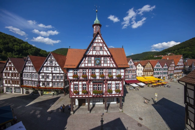Main Image