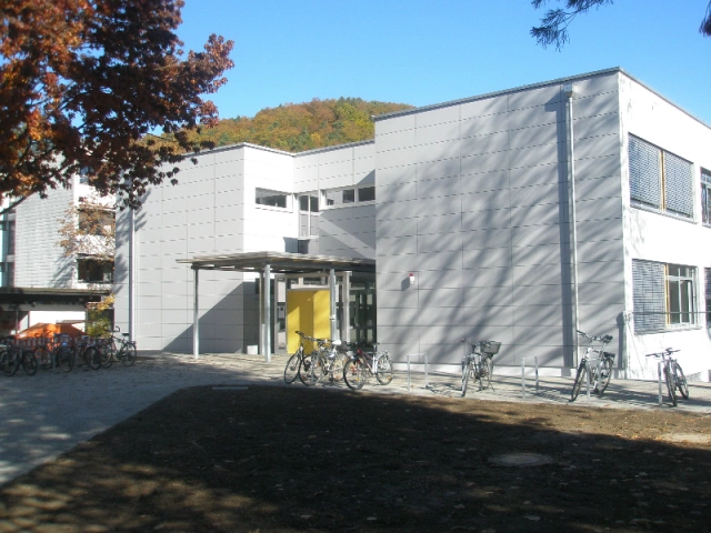 Main Image