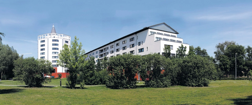 Main Image