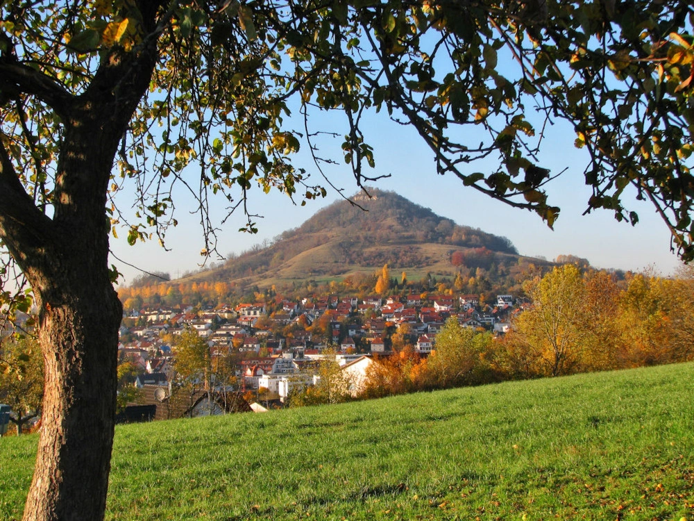Main Image