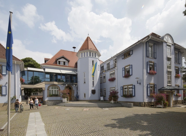 Main Image