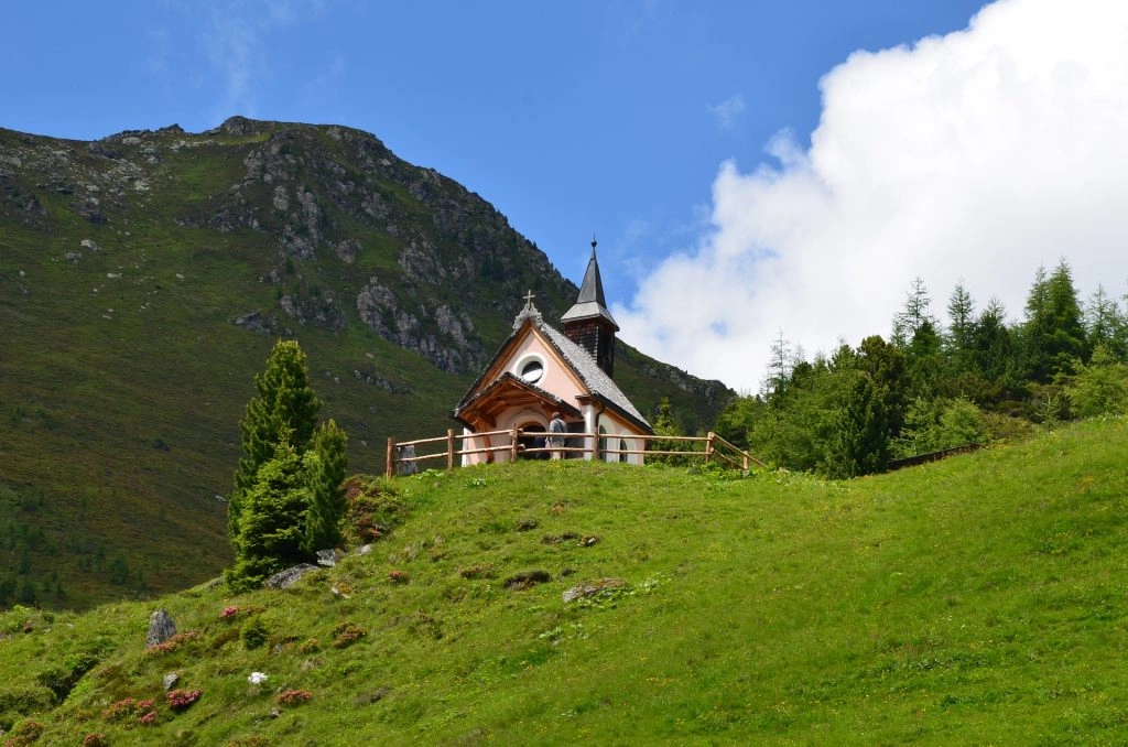 Main Image