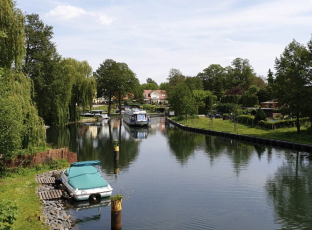 Main Image