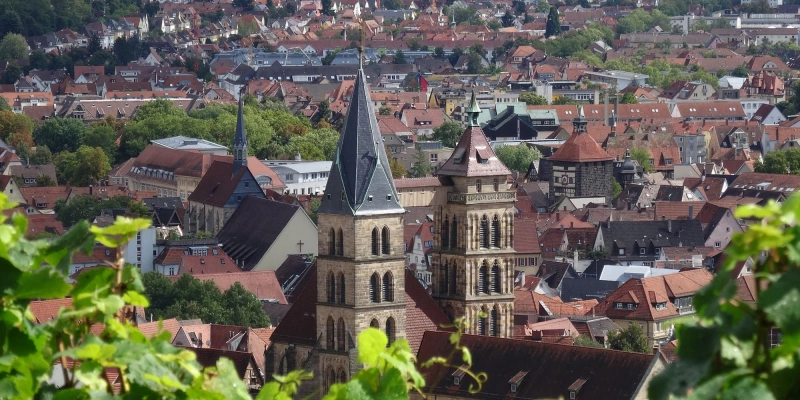 Main Image