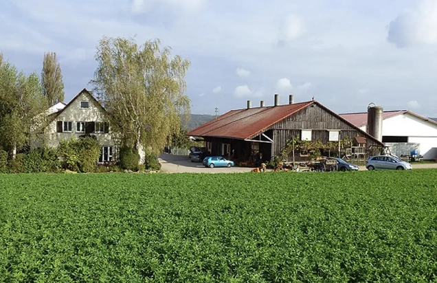 Main Image