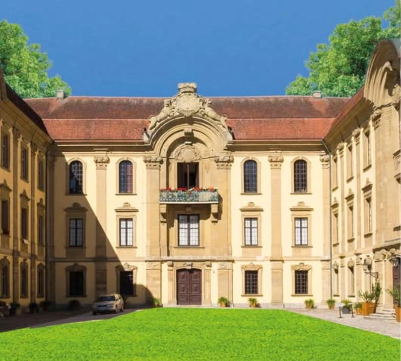 Main Image