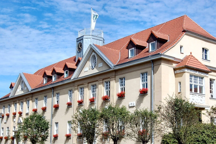 Main Image