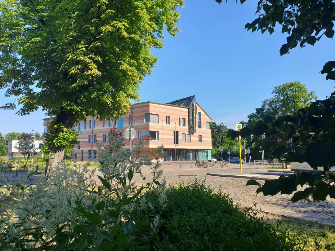 Main Image