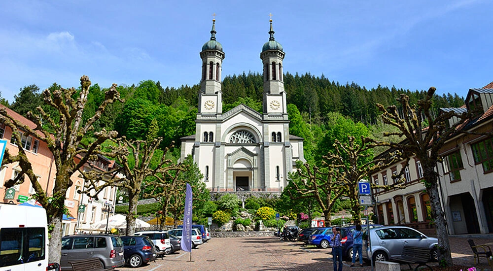 Main Image