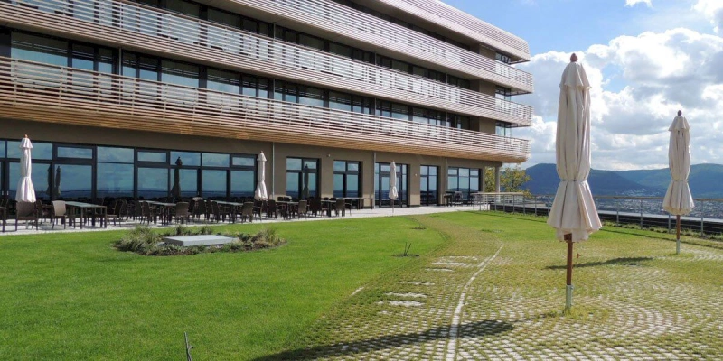 Main Image