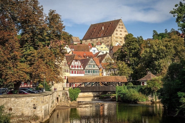 Main Image