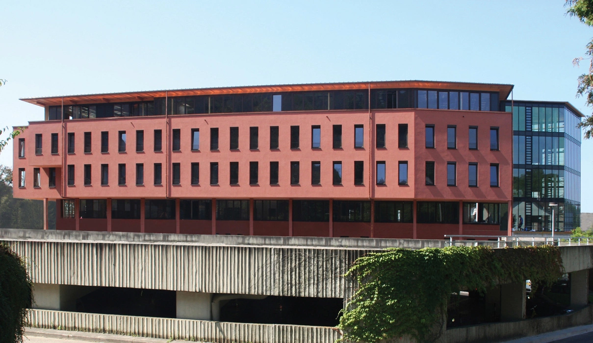 Main Image