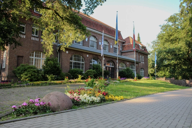 Main Image