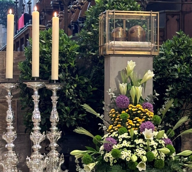 Main Image