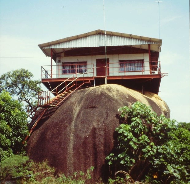 Main Image