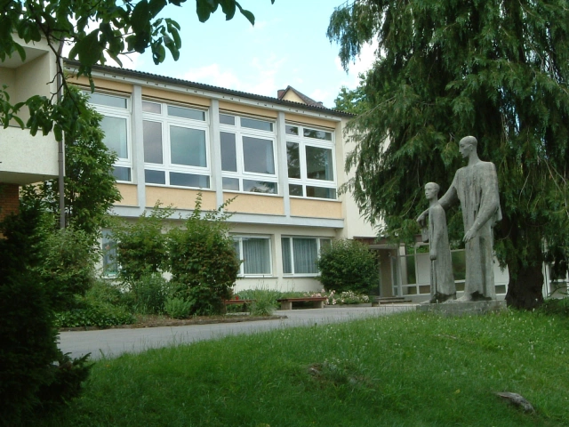 Main Image