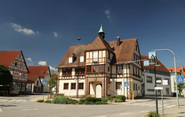 Main Image